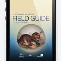 field guide animals nsw 