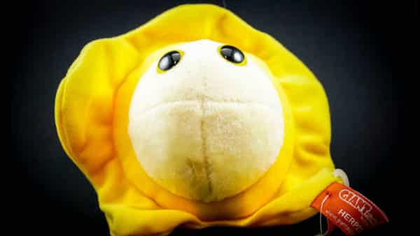 Giant Herpes Plush Toy_2