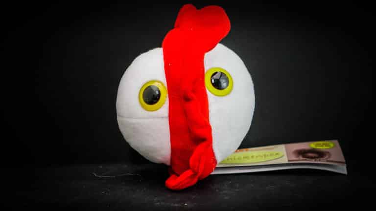 chicken pox plush