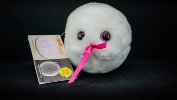 Giant Egg Cell Plush Toy_5