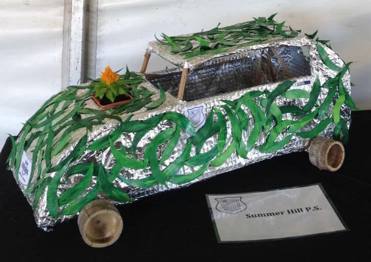 Biofuel powered car artwork by Summer Hill Public School 