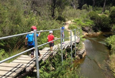 Bush walk in the blue mountains 