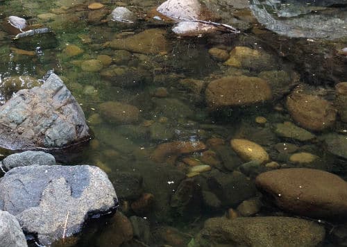 A rocky creek bed with shallow water over the rocks