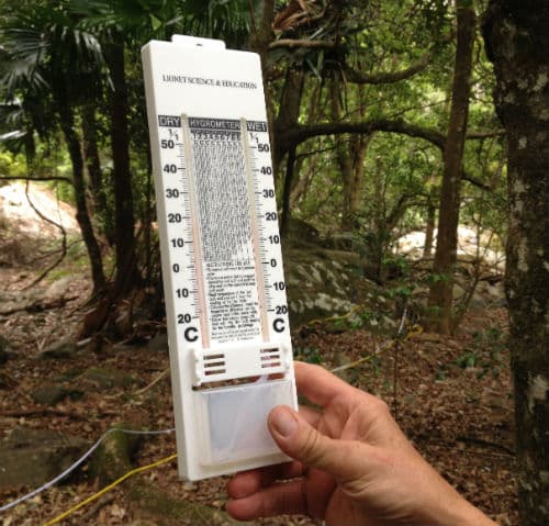 Hygrometer in a rainforest