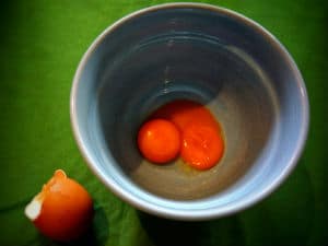 2 egg yolks in a blue bowl next to broken egg shell on green tablecloth