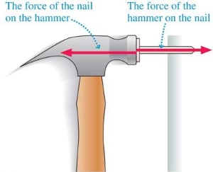 Newton's Third Law hammer nail force