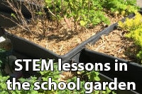 STEM in the school garden
