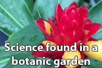 Science found in a botanic garden