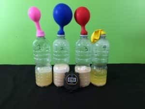 Yeast growth science experiment - final result