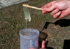 Hand holding stick with clear gooey slime hanging off the end, over a plastic beaker