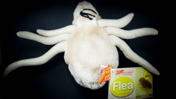 flea plush