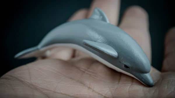 Bottlenose dolphin replica laying on a hand. Side view