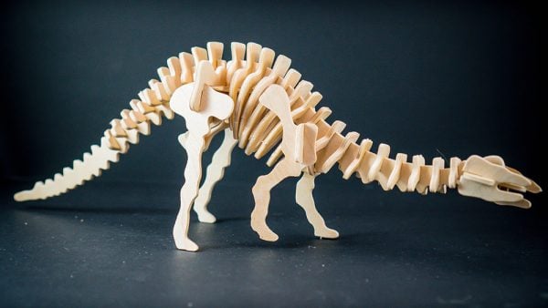 Apatosaurus Woodcraft Skeleton Construction Kit : Fizzics Education