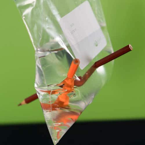 No Leak Magic Bag Science Experiment for Kids - Life Over C's