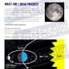 Oreo Moon Phases Worksheet showing the Moon ad a model of the Full Moon